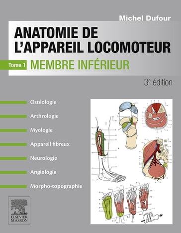 Anatomie de l'appareil locomoteur-Tome 1 - Michel Dufour