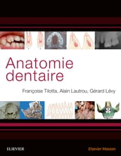 Anatomie dentaire