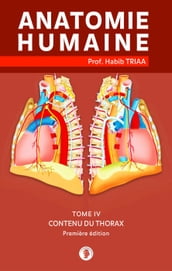 Anatomie du contenu du thorax