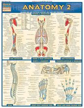 Anatomy 2