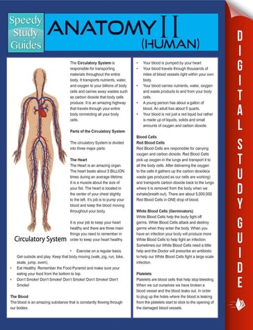 Anatomy II (Human) (Speedy Study Guides) - Speedy Publishing