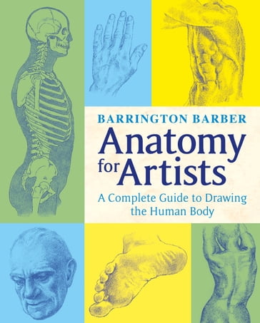 Anatomy for Artists - Barber Barrington