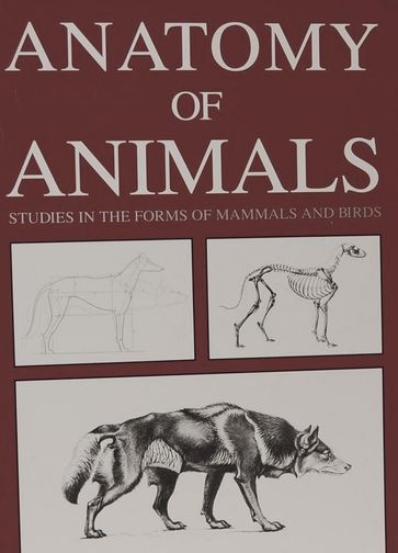 Anatomy of Animals: Studies in the Forms of Mammals and Birds - Ernest Thompson Seton