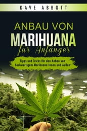 Anbau von Marihuana für Anfänger