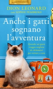 Anche i gatti sognano l avventura