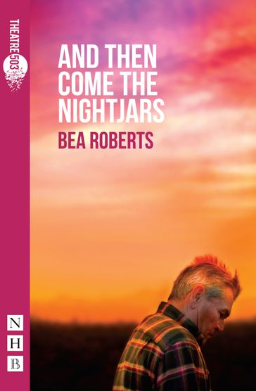 And Then Come The Nightjars (NHB Modern Plays) - Bea Roberts