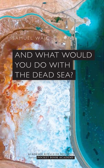 And what would you do with the dead sea? - Samuel Wajc