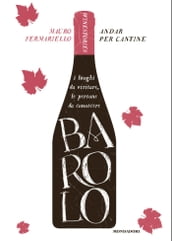 Andar per cantine - Barolo