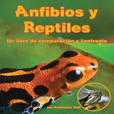 Anfibios y Reptiles - Katharine Hall