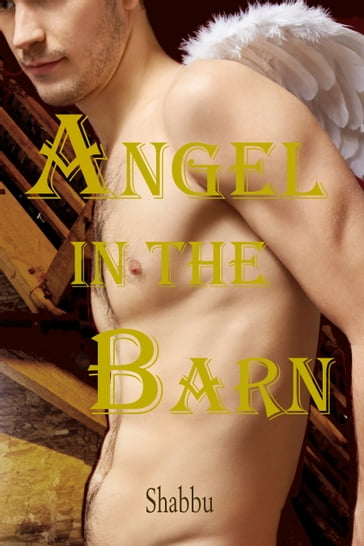 Angel in the Barn - Shabbu