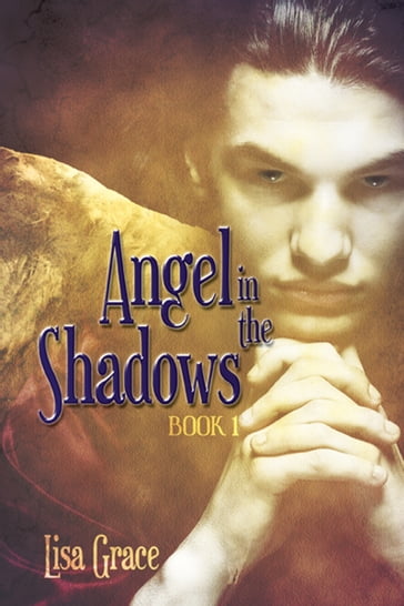 Angel in the Shadows, Book 1 by Lisa Grace (Angel Series) - Lisa Grace