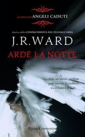 Angeli caduti - 2. Arde la notte