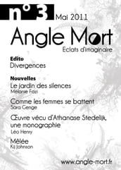 Angle Mort numéro 3