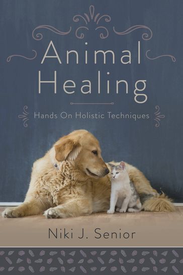 Animal Healing - Niki J. Senior