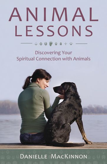 Animal Lessons - Danielle MacKinnon