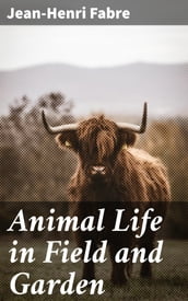 Animal Life in Field and Garden