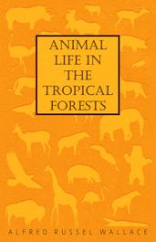 Animal Life in the Tropical Forests