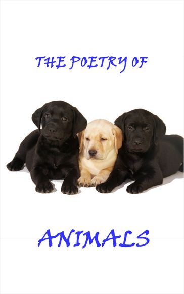 Animal Poetry - Robert Louis Stevenson - DH Lawrence - William Blake - Christina Rossetti 