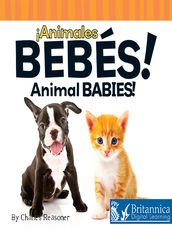 Animales bebés (Animal Babies)