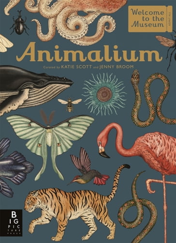 Animalium - Jenny Broom