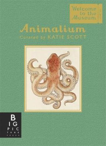 Animalium (Mini Gift Edition) - Jenny Broom