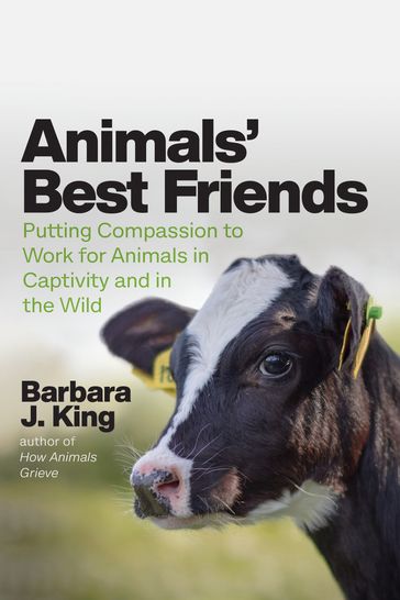 Animals' Best Friends - Barbara J. King