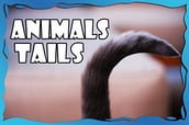 Animals Tails