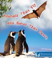 Animals That Fly and Birds That Don t