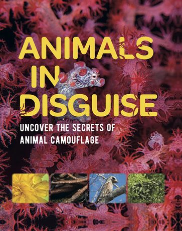 Animals in Disguise - Michael Bright