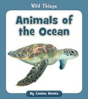 Animals of the Ocean