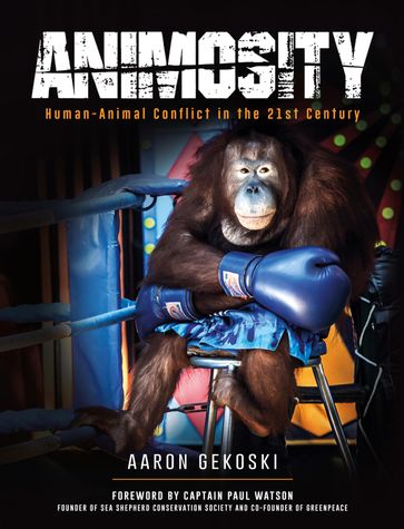 Animosity - Aaron Gekoski
