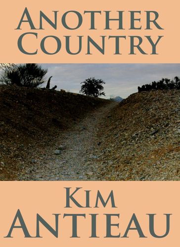 Another Country - Kim Antieau