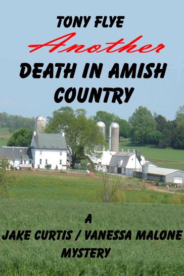 Another Death in Amish Country, A Jake Curtis / Vanessa Malone Mystery - Tony Flye