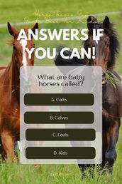 Answers If You Can! Horse Trivia Fun Facts Book For Kids