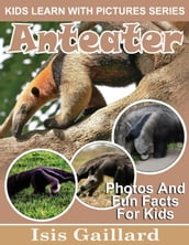 Anteater Photos and Fun Facts for Kids