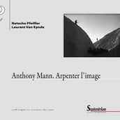 Anthony Mann. Arpenter l image