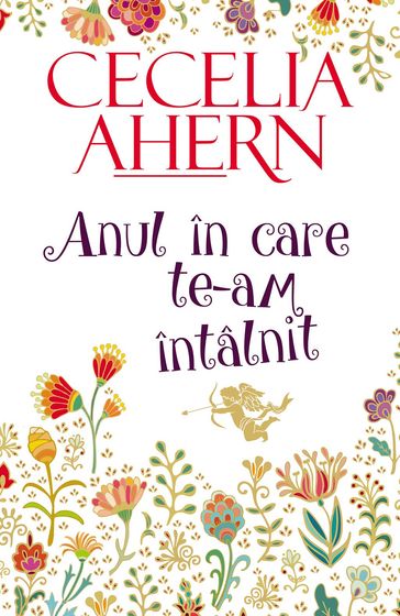 Anul în care te-am întâlnit - Cecelia Ahern