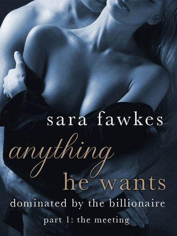 Anything He Wants: The Meeting (#1) - Sara Fawkes