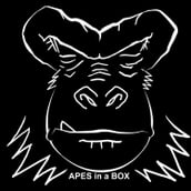 Apes In a Box