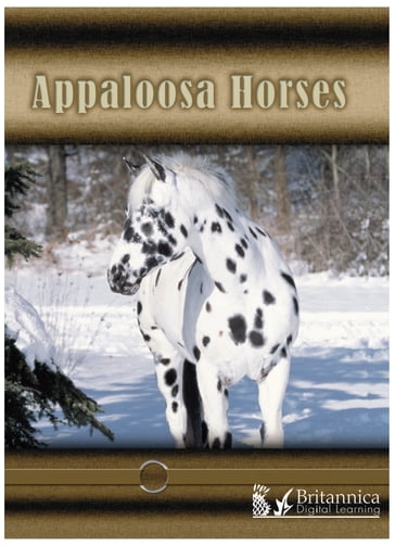 Appaloosa Horses - Lynn Stone