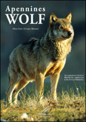 Appennines Wolf. An experience lived at Monte Amiata in the Tuscan Maremma