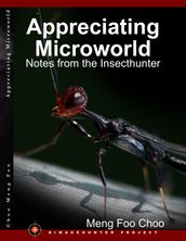 Appreciating Microworld: Notes from the Insecthunter