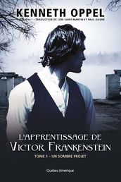 L Apprentissage de Victor Frankenstein, Tome 1 Un sombre projet