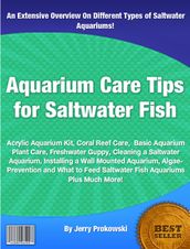 Aquarium Care Tips for Saltwater Fish