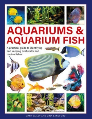 Aquariums & Aquarium Fish - Mary Bailey - Gina Sandford