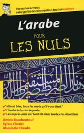 L Arabe - Guide de conversation Pour les Nuls, 2e