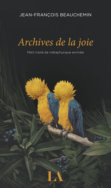 Archives de la joie - Jean-François Beauchemin