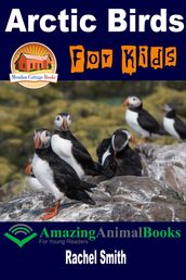 Arctic Birds For Kids