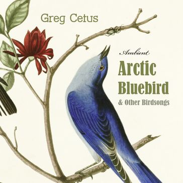 Arctic Bluebird and Other Birdsongs - Greg Cetus