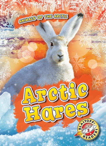 Arctic Hares - Rebecca Pettiford